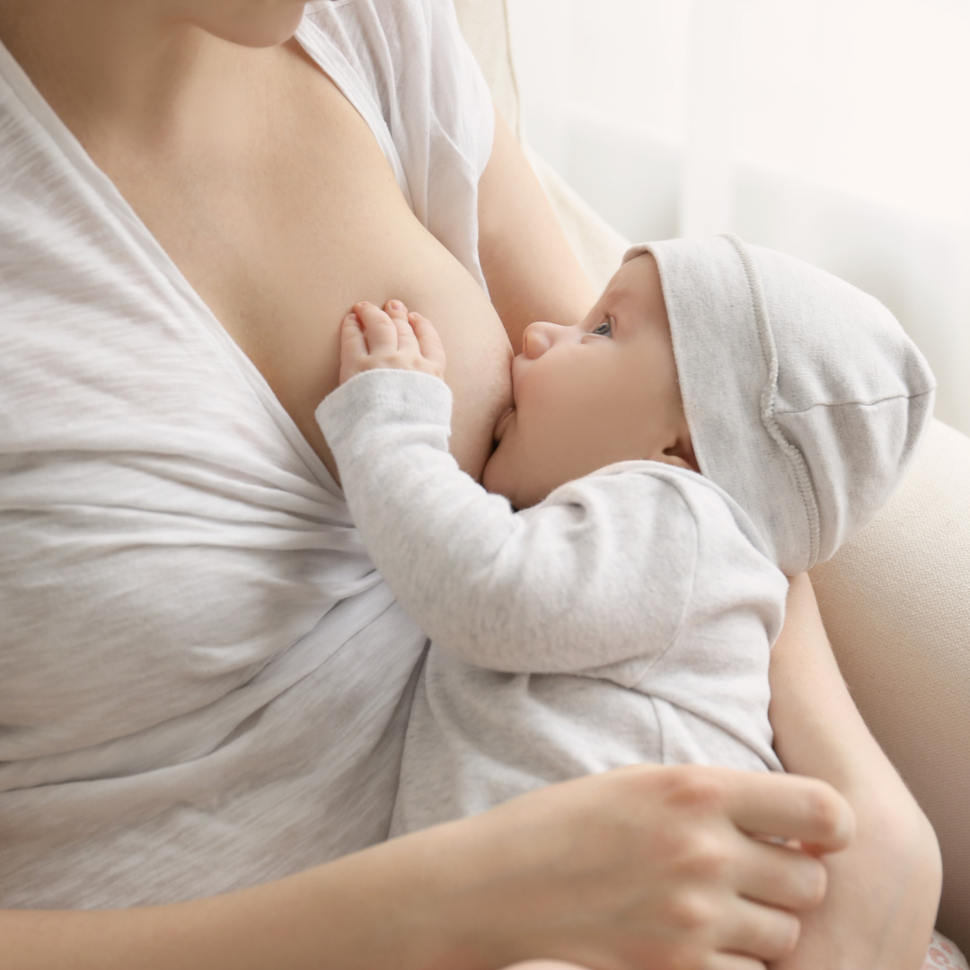 Protège-mamelons pour allaiter votre bébé confortablement - L'Armoire de  Bébé