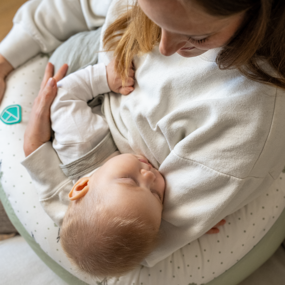 Pregnancy and breastfeeding pillow Koala Hugs