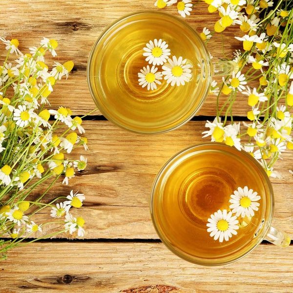 Chamomile: properties and benefits for pregnancy, breastfeeding and weaning
