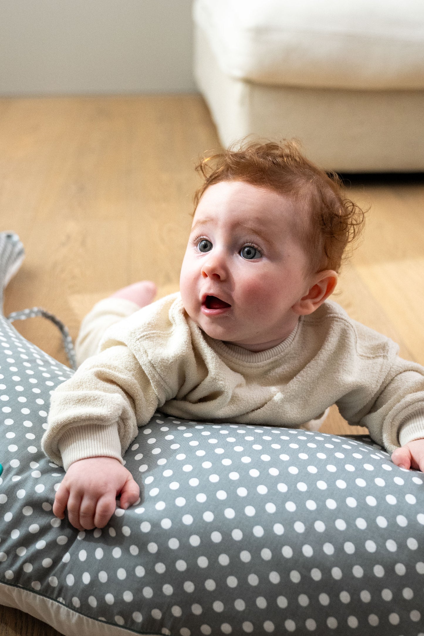 Pregnancy and breastfeeding pillow Koala Hugs
