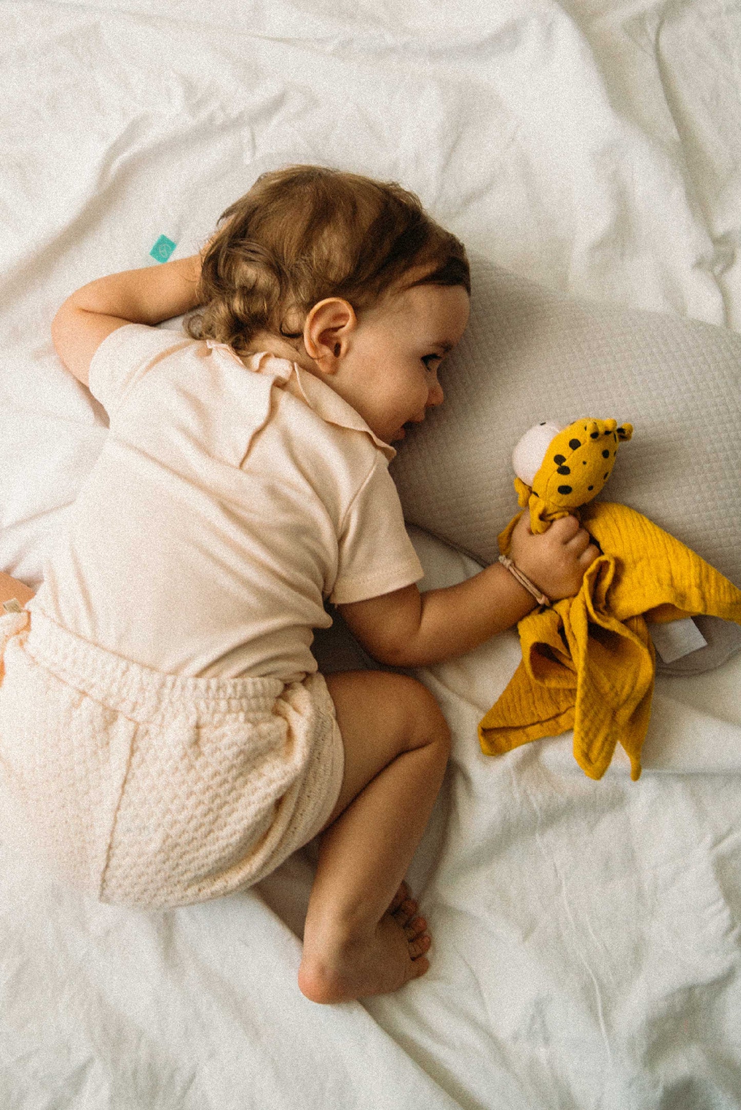 Cojín plagiocefalia Koala Perfect Head Maxi