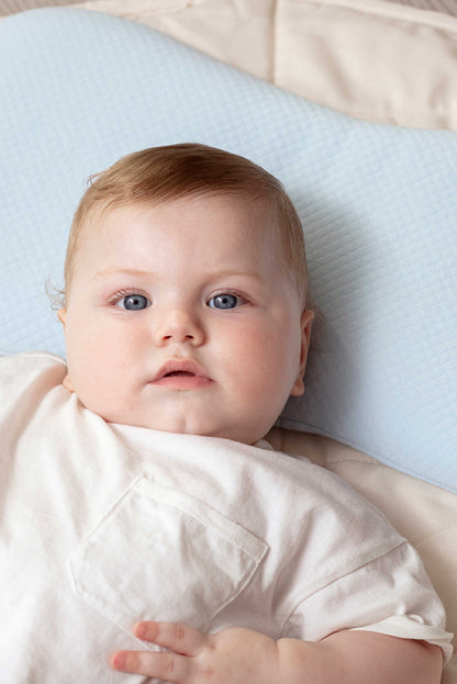 Cojín plagiocefalia Koala Perfect Head Maxi