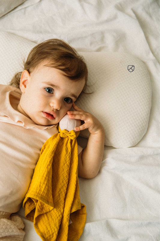 Cuscino per testa piatta Koala Perfect Head Maxi