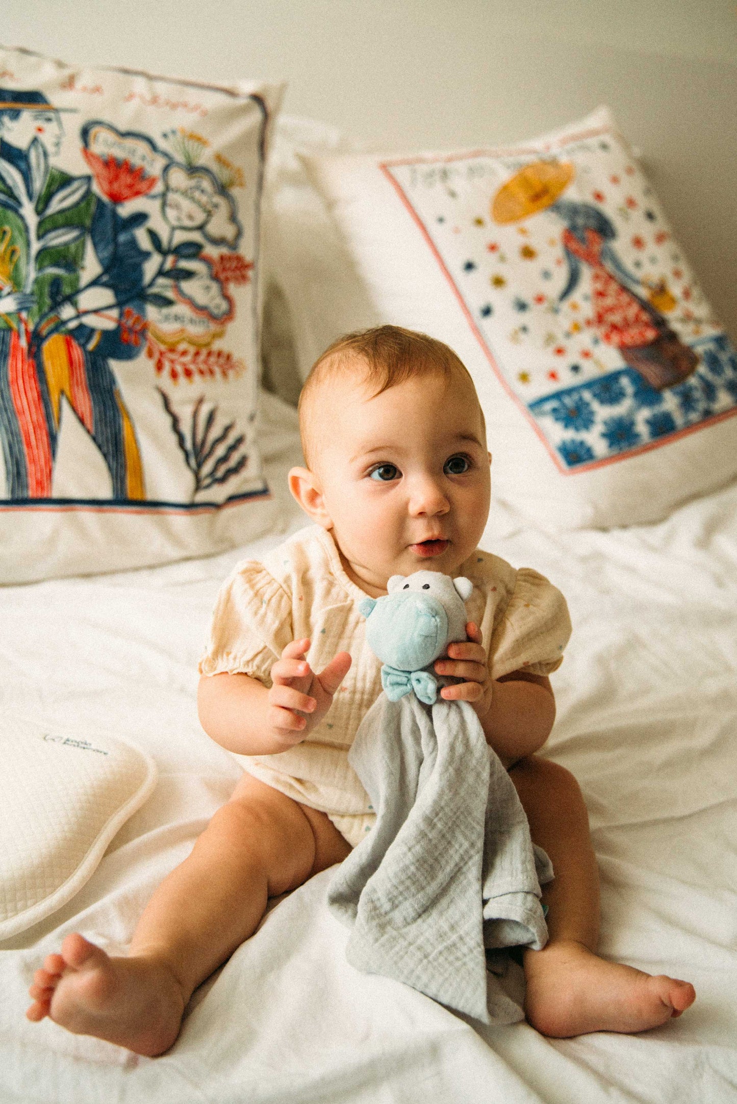 Dou Dou Koala Soft Friend