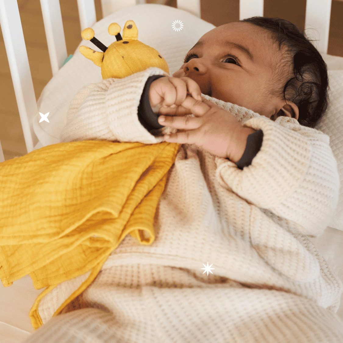 Dou Dou Koala Soft Friend