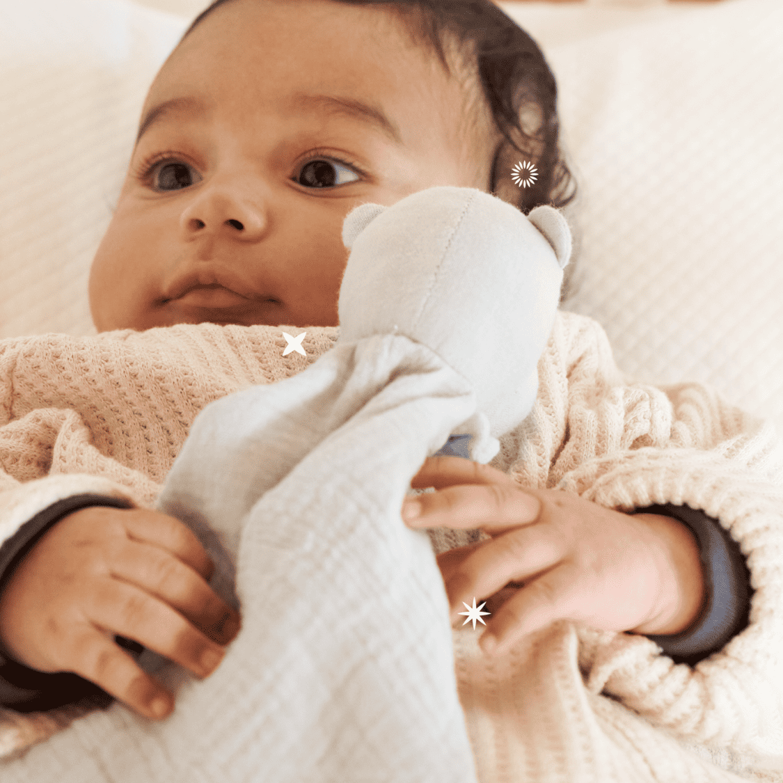 Dou Dou Koala Soft Friend