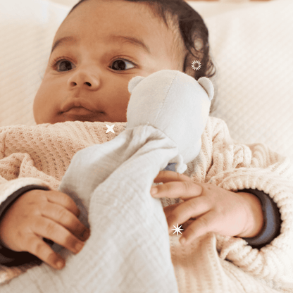 Dou Dou Koala Soft Friend