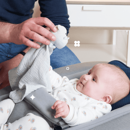 Dou Dou Koala Soft Friend