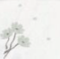 Blossom White