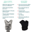 Language:fr